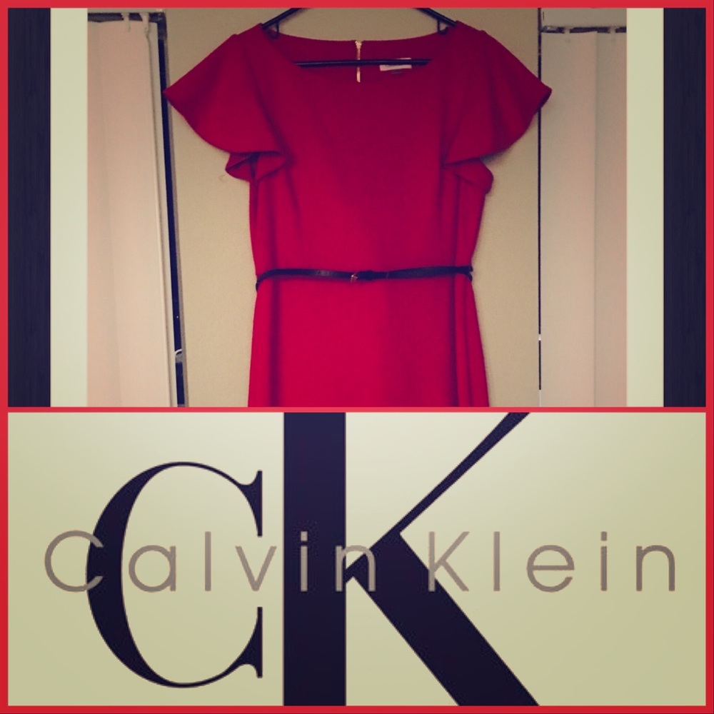 Calvin Klein Short Ruffle Sleeve Sheath/Dress ❤️